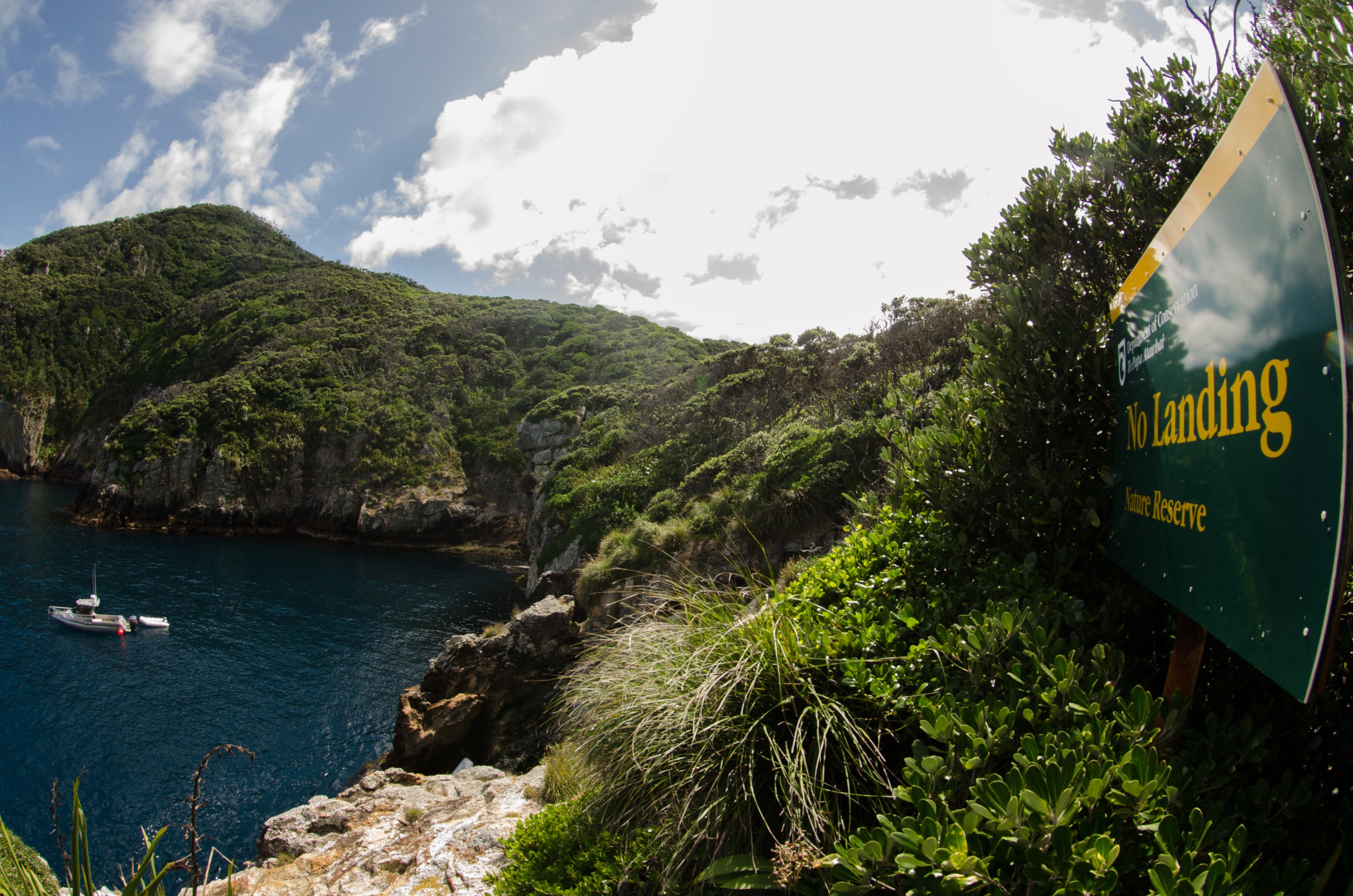 DSC_7474 – Poor, knights, marine reserve, Aorangi, Forest, crispin, nz, new, zealand, new zealand